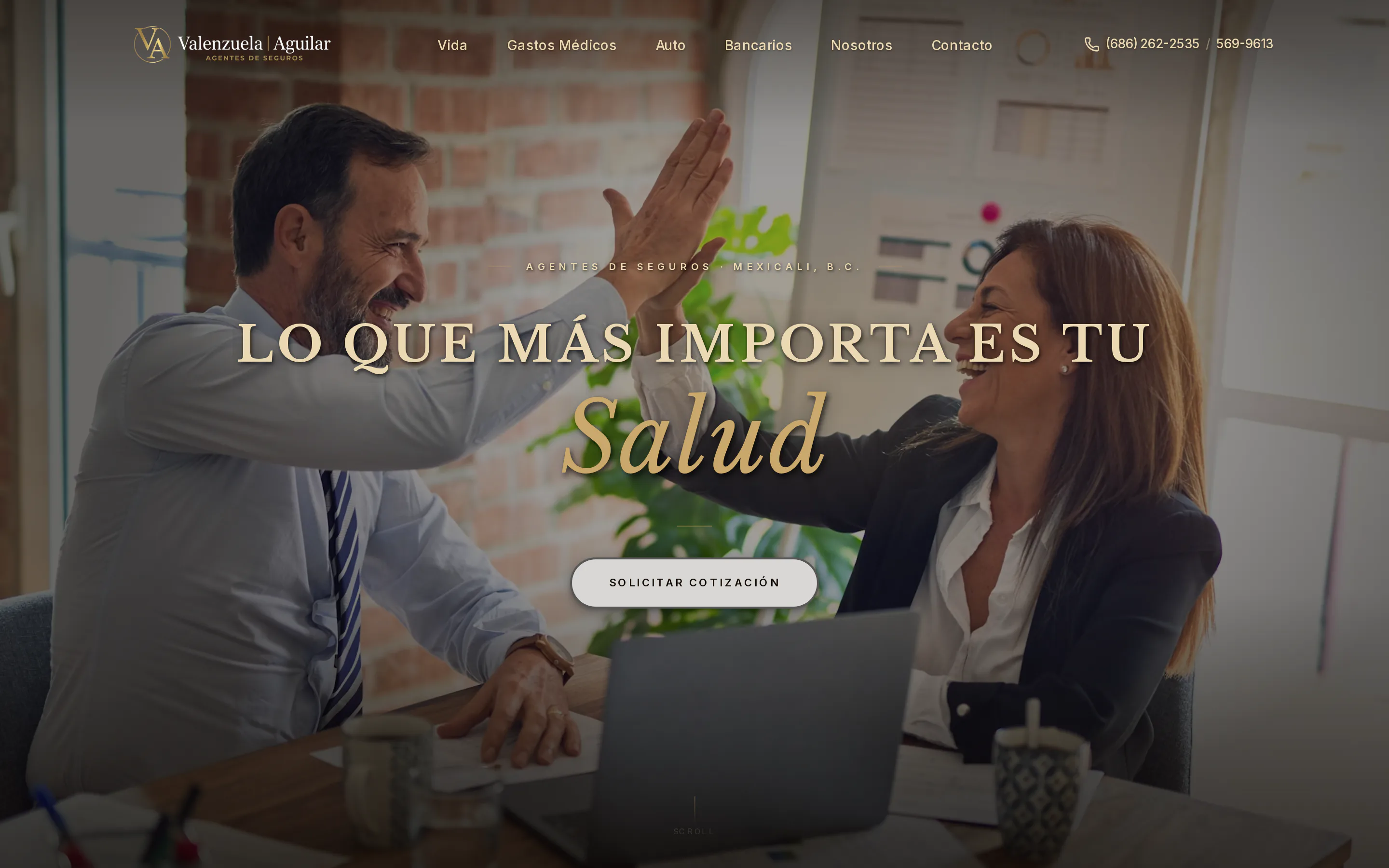 Asesores Valenzuela y Aguilar: página de inicio del sitio